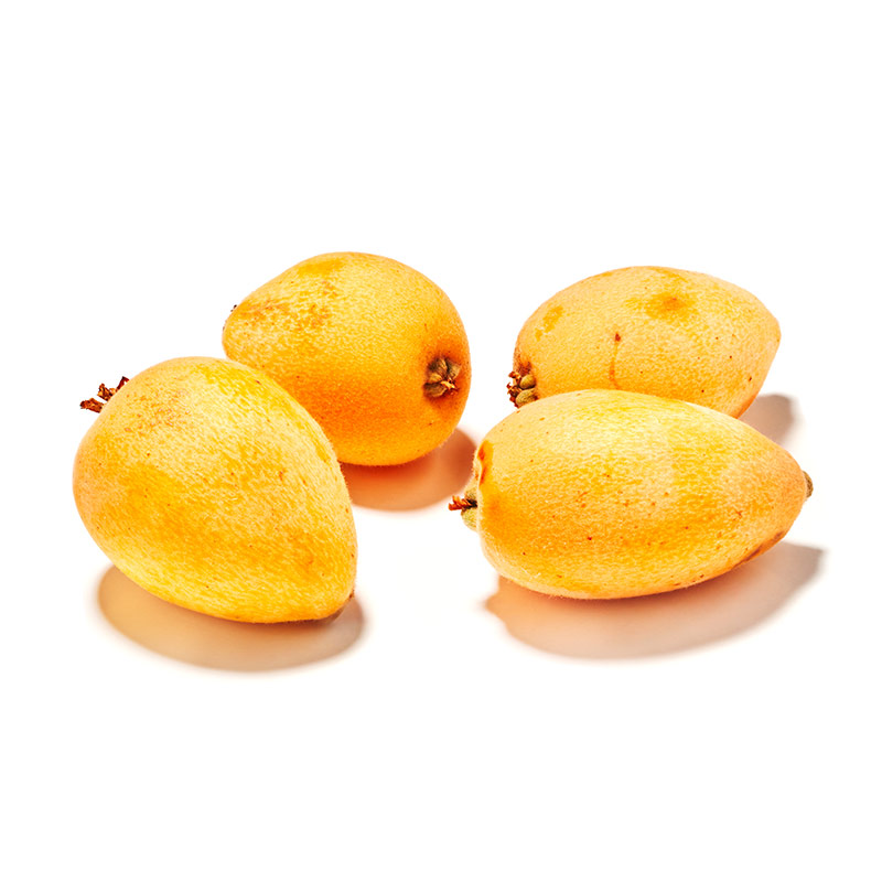 Mispel_Loquat_OWN-D-