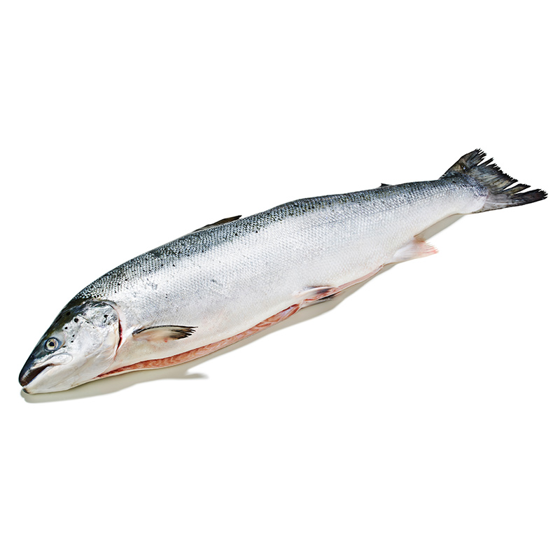 Lachs-Label-Rouge-or4608-OWN-D-