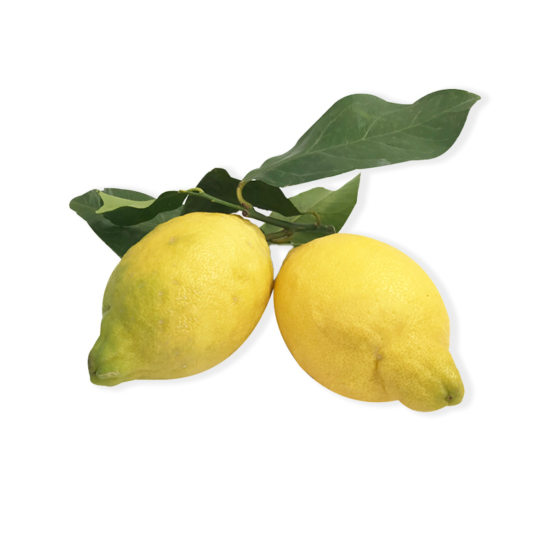 Zitronen-mit-Blatt-OWN