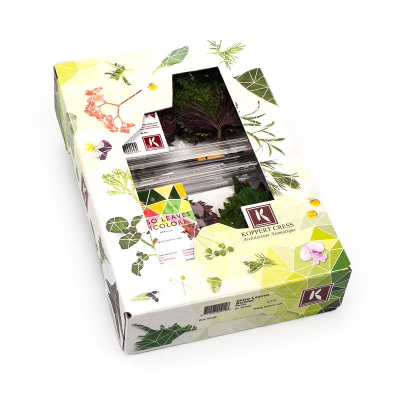 Shiso-Leaves-LF