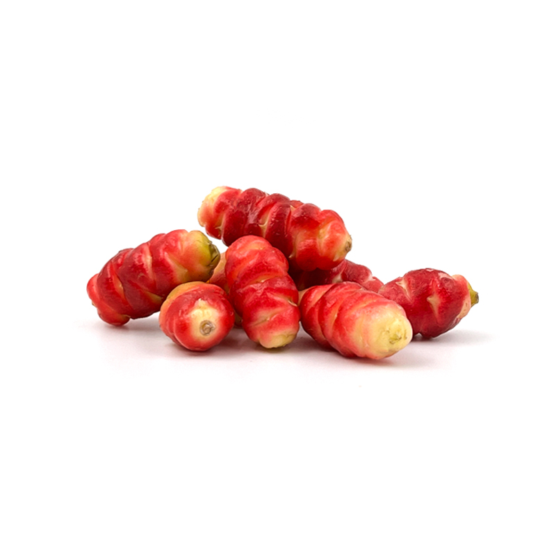 Oxaliswurzel-pink bei R-express Gastronomie Lebensmittel Grosshandel online kaufen