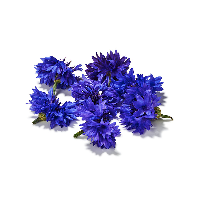 Kornblumen-blau-OWN-D-