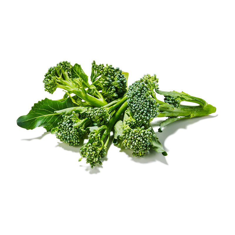 Wilder-Broccoli.or23897-OWN-D-