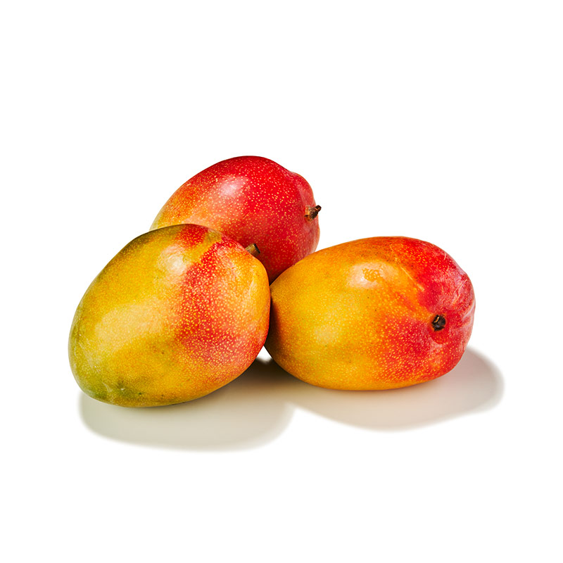 Mango-Kent-OWN-D-