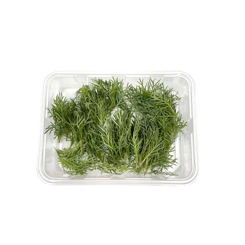 Paztizz-Tops bei R-express Gastronomie Lebensmittel Grosshandel online kaufen