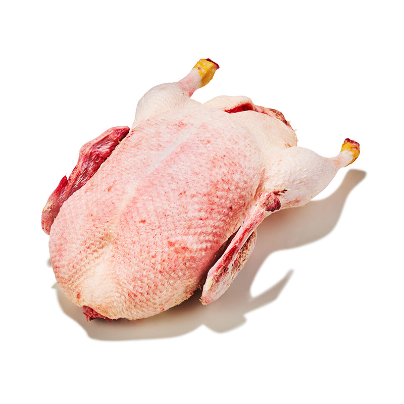 Challans-Ente-küchenfertig-or1208-OWN-D