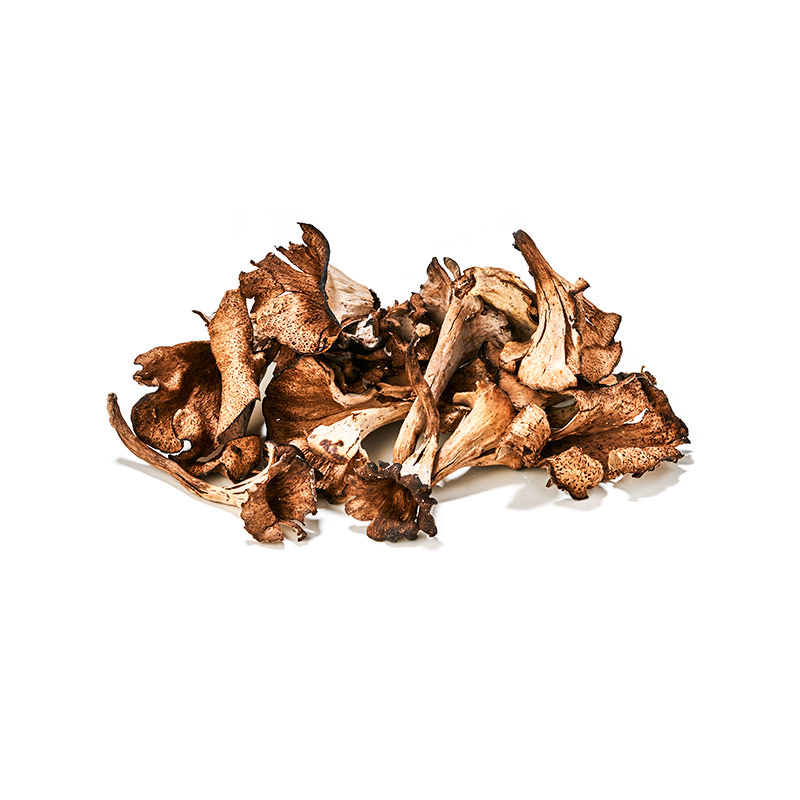 Herbsttrompeten-or2644-OWN-D