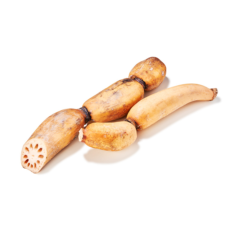 Lotuswurzel-or50021-OWN-D