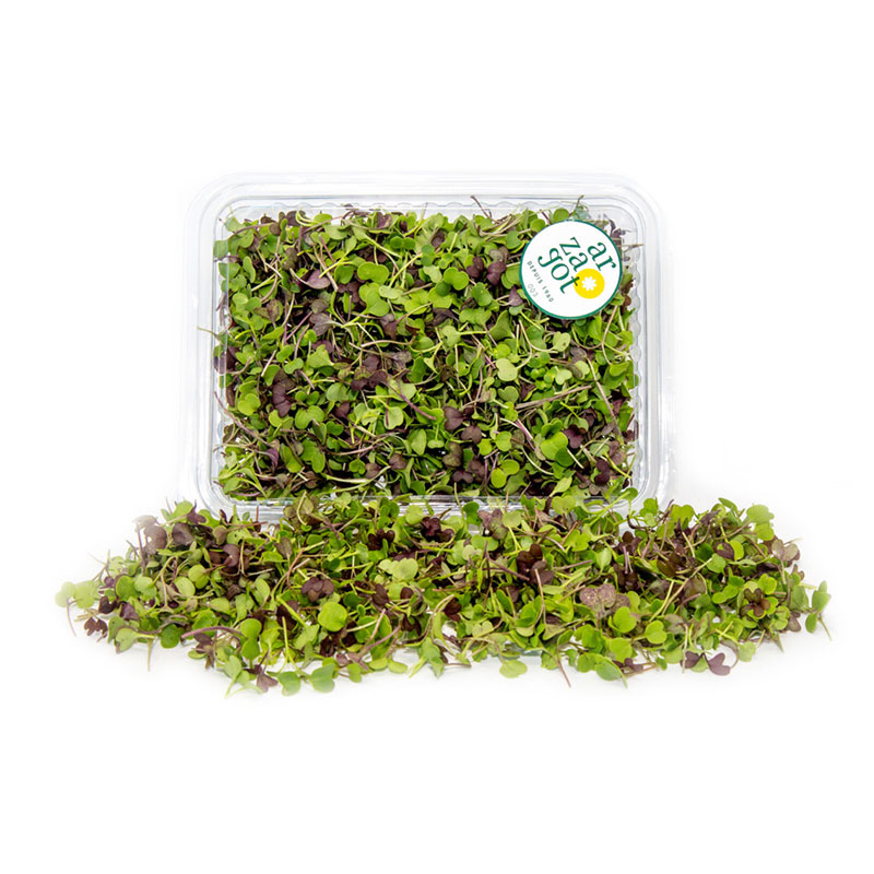 Microgreen-Mischung-LF
