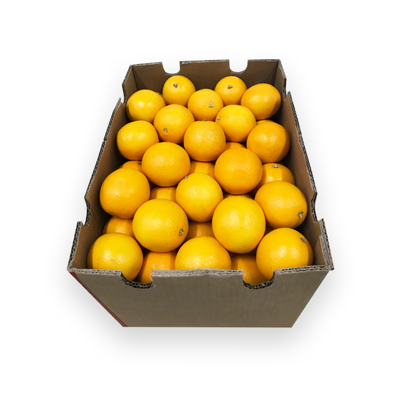 Saftorangen bei R-express Gastronomie Lebensmittel Grosshandel online kaufen