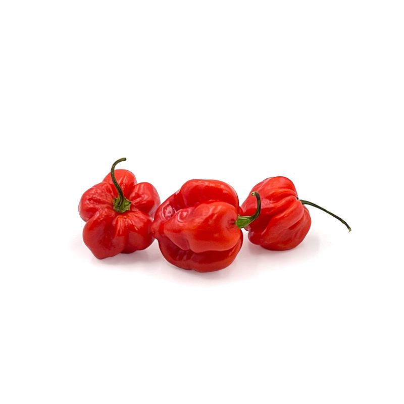 Habanero-rot-OWN