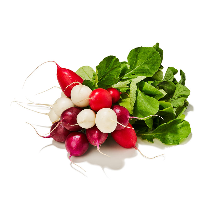 RadieschenMulticolor-or49561-OWN-D