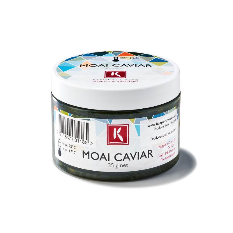 Moai-Kaviar-Meerestrauben-OWN-D