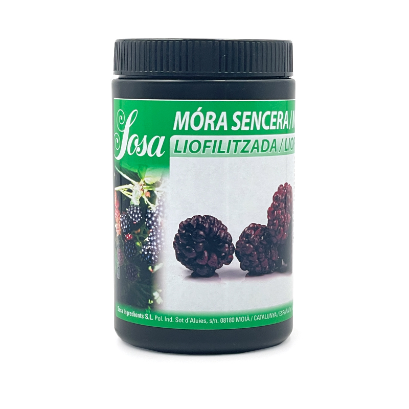 Brombeeren-gefriergetrocknet bei R-express Gastronomie Lebensmittel Grosshandel online kaufen