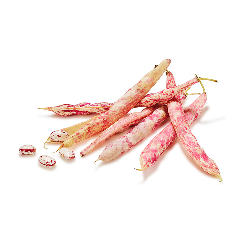 Borlotti-Bohnen-OWN-D