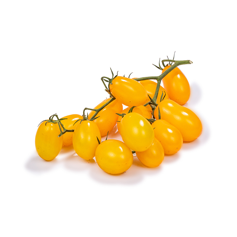 Datterino-Tomaten-OWN-D