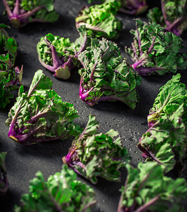 Flower-Sprouts bei R-express im Großhandel für Lebensmittel online kaufen