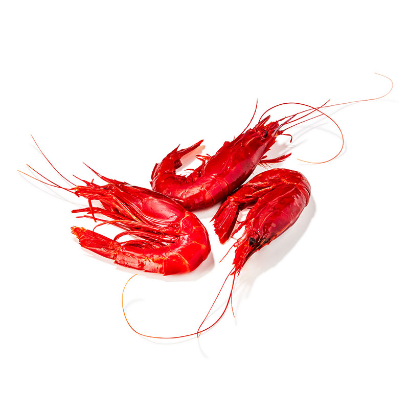 TK-Carabinero-Garnele-ganz-or30439-OWN-D