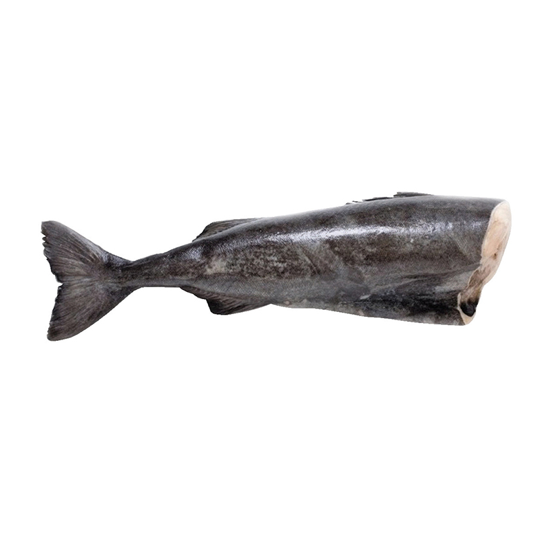 TK-Kohlenfisch-black-Cod bei R-express Gastronomie Lebensmittel Grosshandel online kaufen