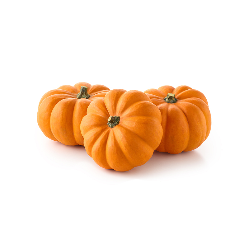 Mini-Speisekürbis-AD