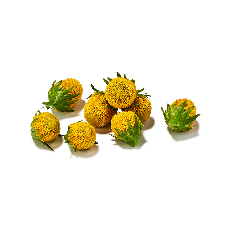 Sechuan-Buttons-OWN-D-