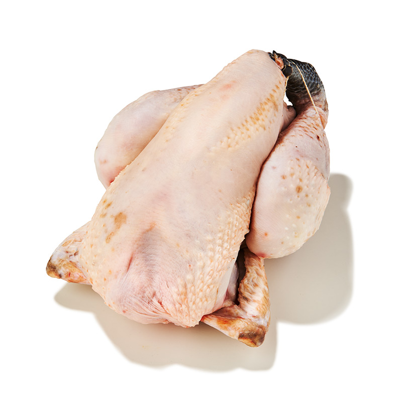 Schwarzfederhuhn-Label-Rouge-or13337-OWN-D