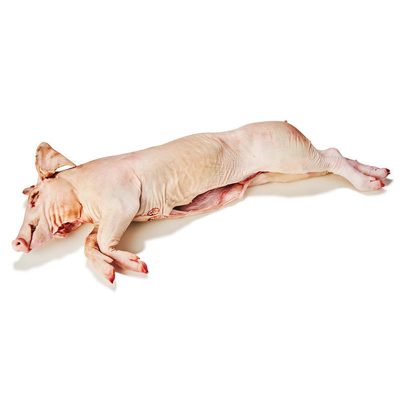 Spanferkel-or4769-OWN-D