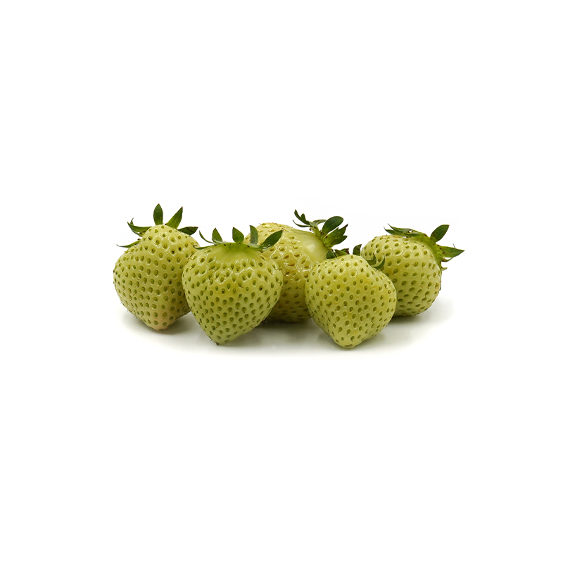 Erdbeeren-weiss bei R-express Gastronomie Lebensmittel Grosshandel online kaufen