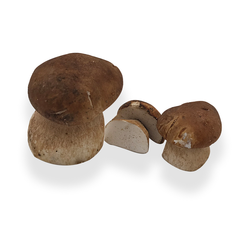 Steinpilz bei R-express Gastronomie Lebensmittel Grosshandel online kaufen