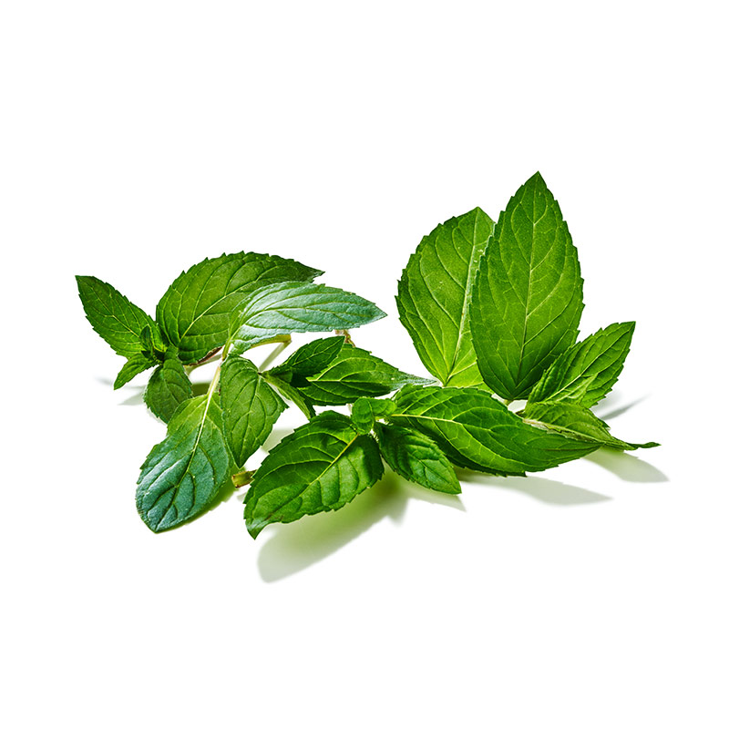 Schokominze-or8884-OWN-D