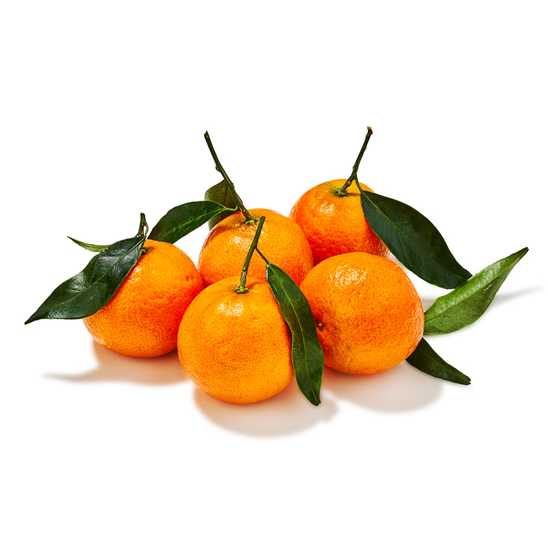 Blattclementinen-or45620-OWN-D