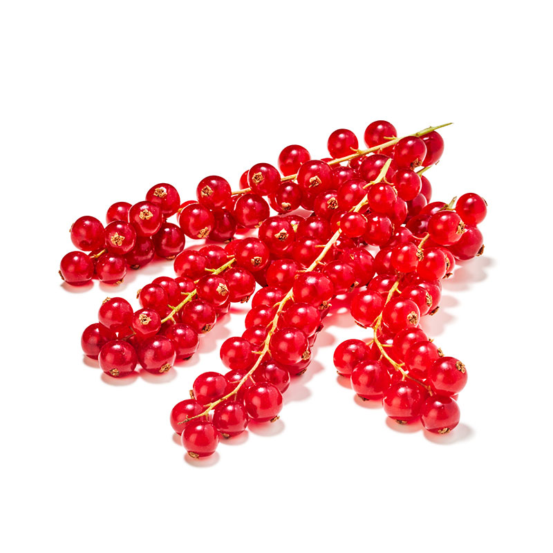 Johannisbeeren-rot-OWN-D