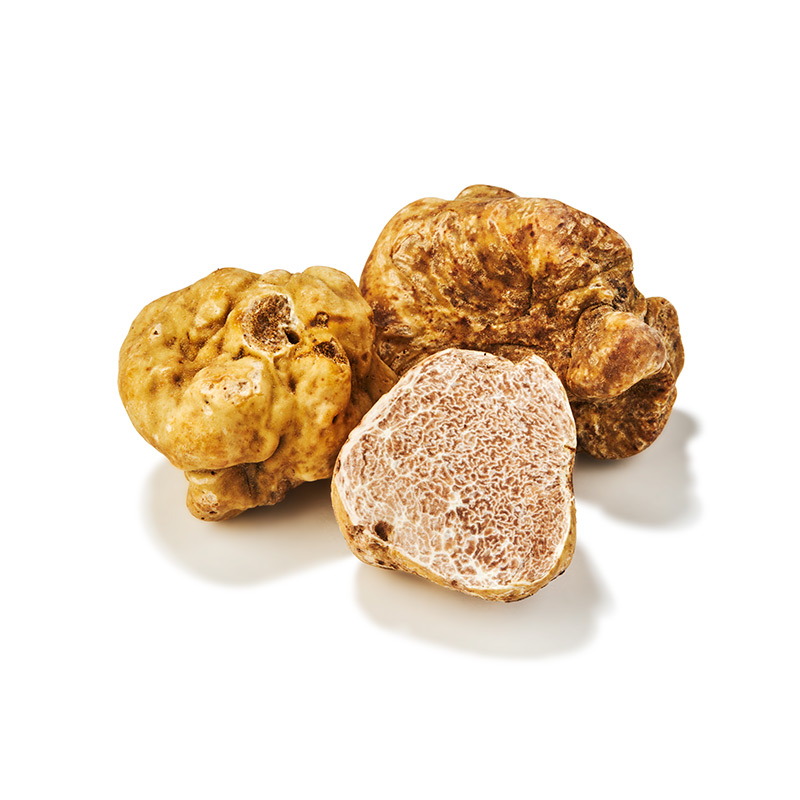 Trüffel-weiß-or24231-OWN-D