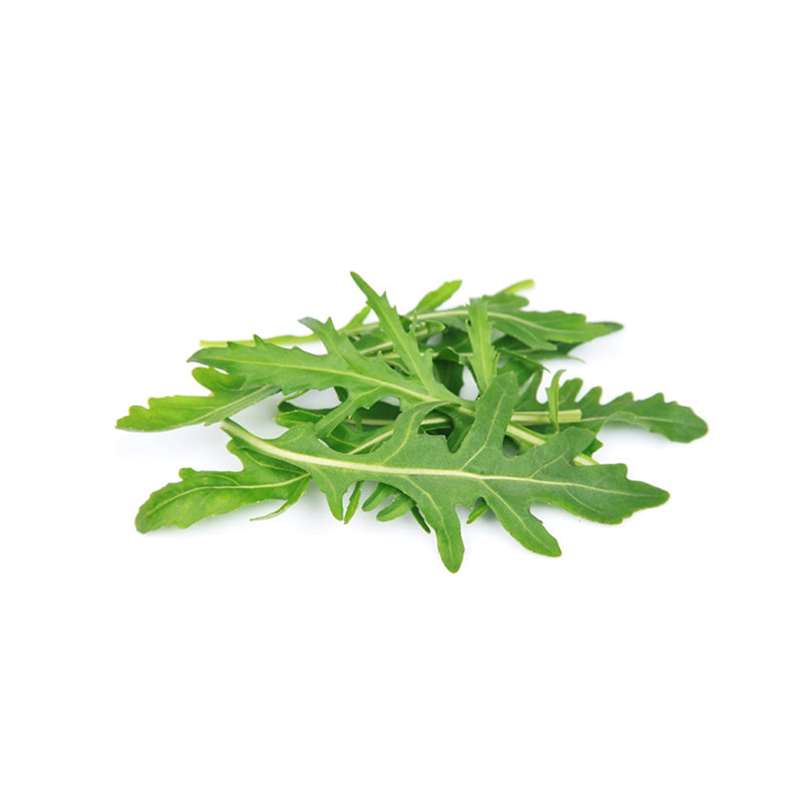 Rucola bei R-express Gastronomie Lebensmittel Grosshandel online kaufen