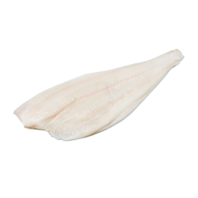 Heilbuttfilet-mit-Haut-OWN-D