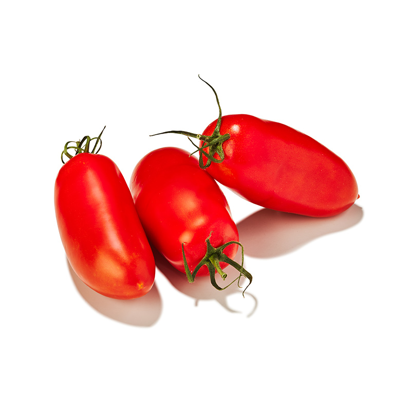 Tomate-San-Marzano-OWN-D