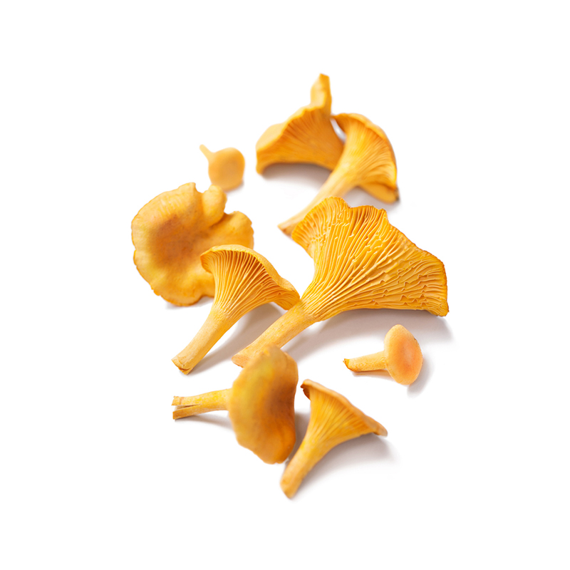 Chanterelle-gelb bei R-express Gastronomie Lebensmittel Grosshandel online kaufen