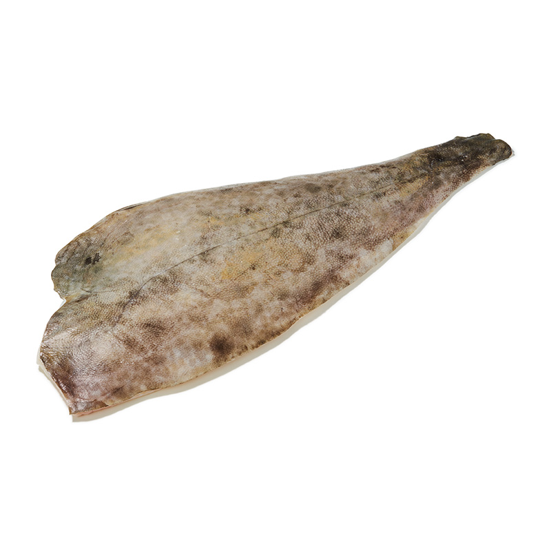 Heilbuttfilet-mit-Haut-OWN-D