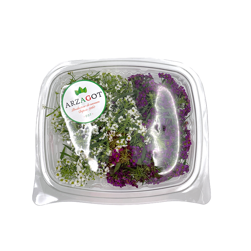 Allysum-Steinkraut-Mix-2 bei R-express Gastronomie Lebensmittel Grosshandel online kaufen