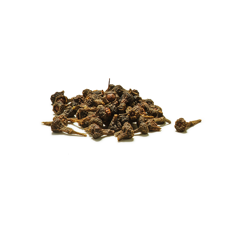 Zimtblüten-ganz-OWN-D