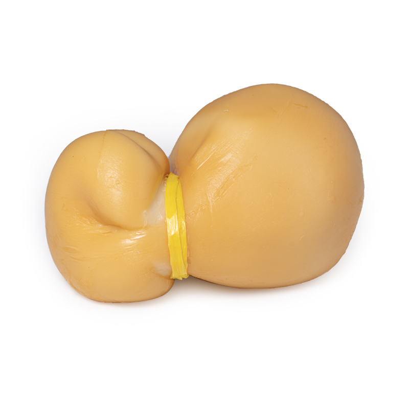 Scamorza bei R-express Gastronomie Lebensmittel Grosshandel online kaufen