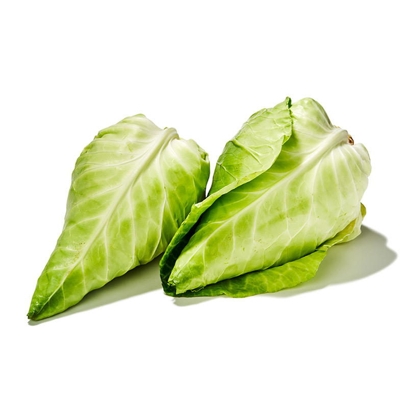 Spitzkohl-or6128-OWN-D