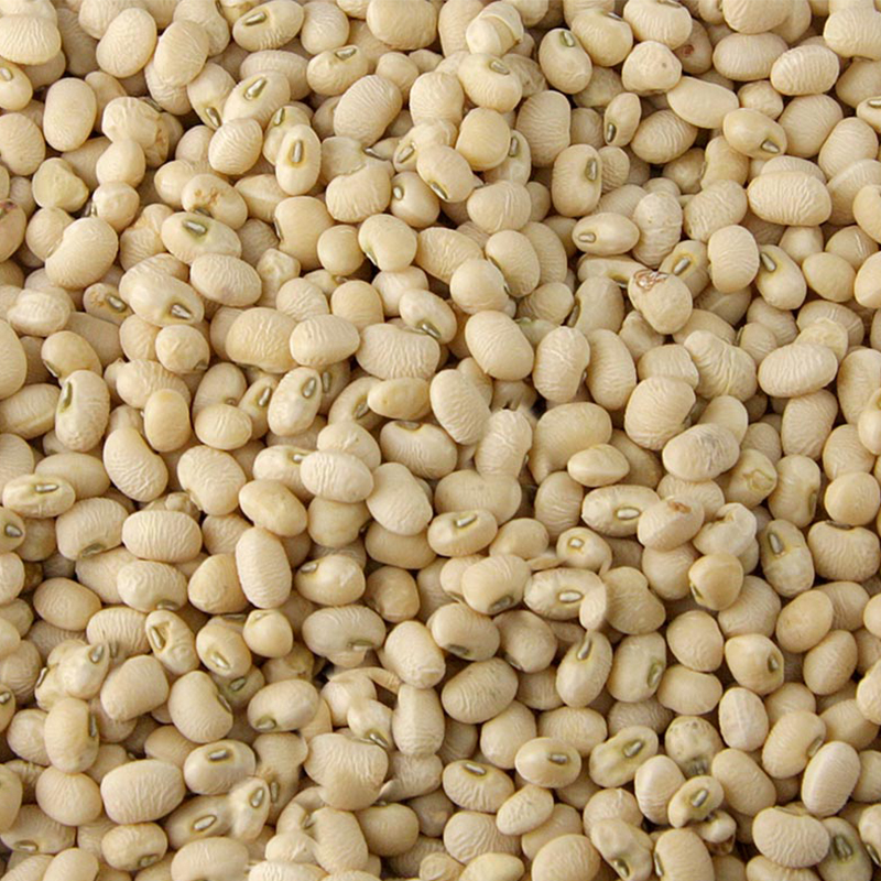 Bohnen-Risina-500g-getrocknet-IT bei R-express Gastronomie Lebensmittel Grosshandel online kaufen