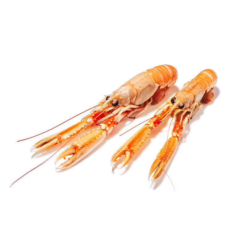 TK-Kaisergranat-or41995-OWN-D