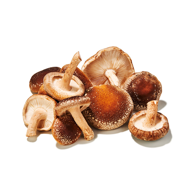 Shitake-Pilze-or13302-OWN-D