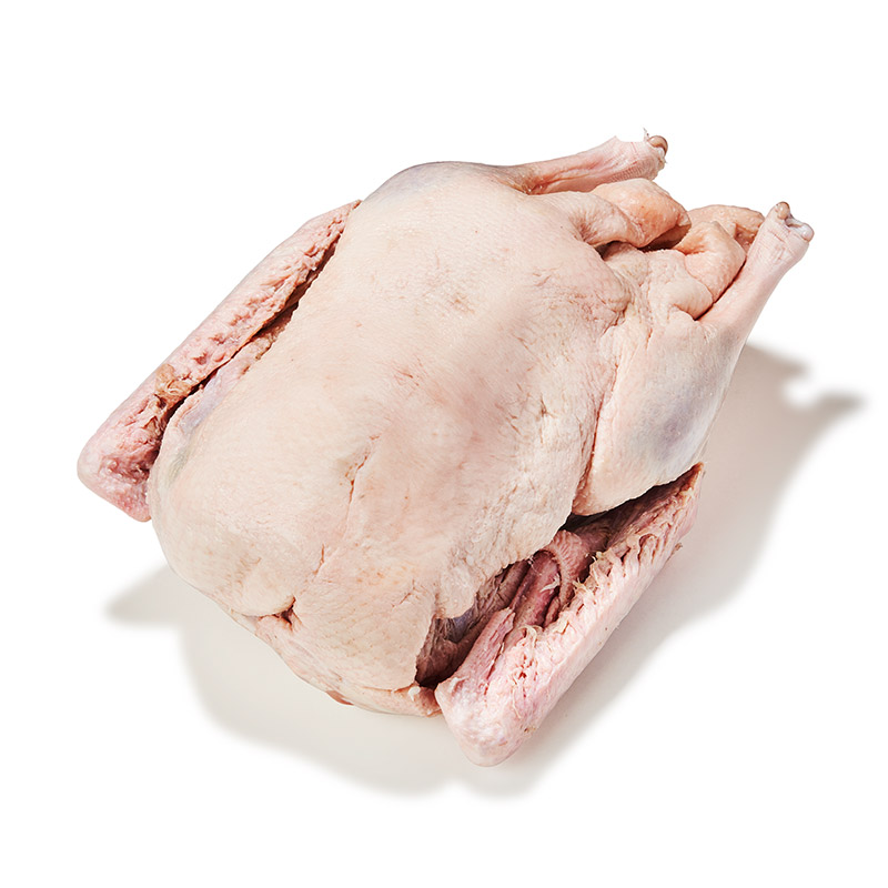 TK-Gans-or18619-OWN-D