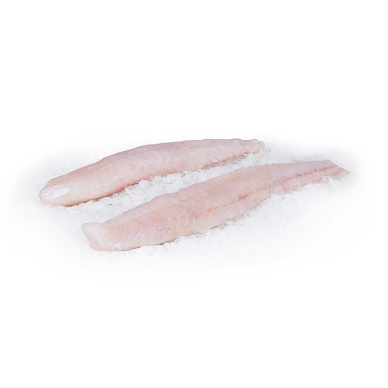 Steinbeisserloins-2 bei R-express Gastronomie Lebensmittel Grosshandel online kaufen