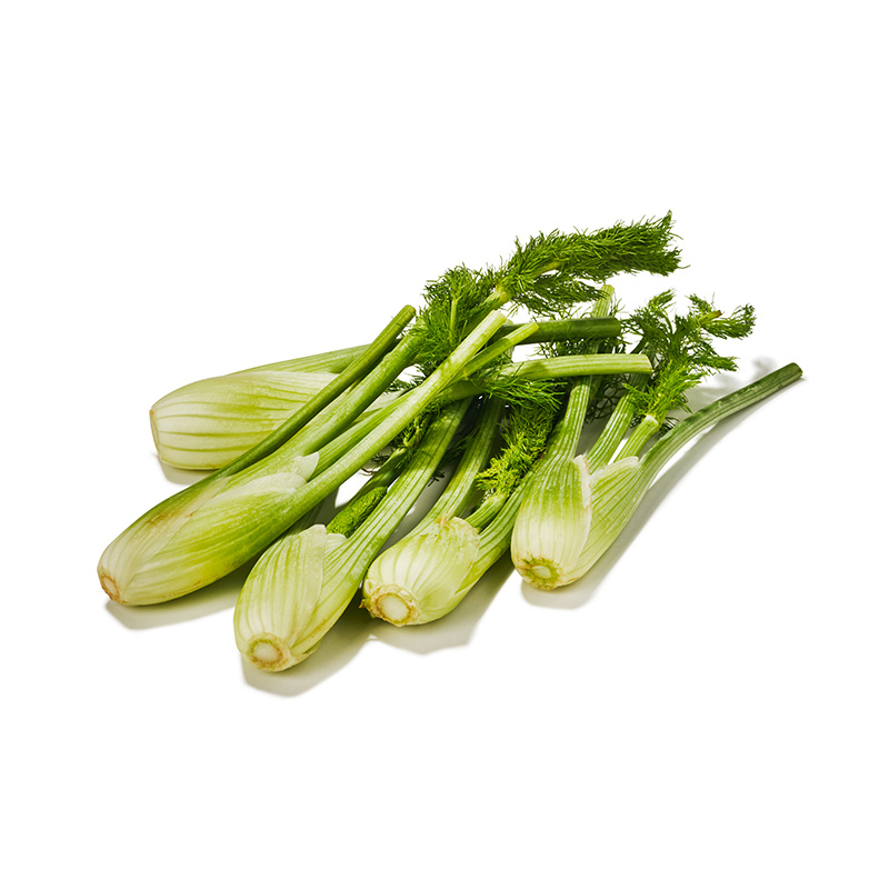 Mini-Fenchel-OWN-D