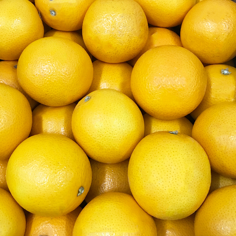 Saftorangen-2 bei R-express Gastronomie Lebensmittel Grosshandel online kaufen