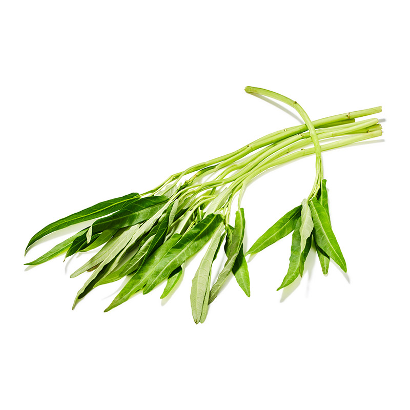 Wasserspinat-or52230-OWN-D